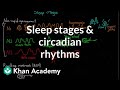 Sleep stages and circadian rhythms | Processing the Environment | MCAT | Khan Academy