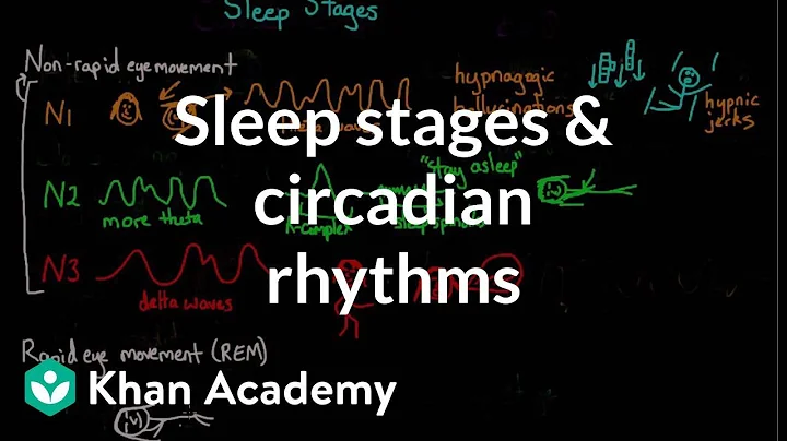 Sleep stages and circadian rhythms | Processing the Environment | MCAT | Khan Academy - DayDayNews