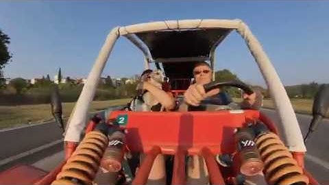 Buggy ride with Mr.  Fulir the Whippet - (GSMOON 260-2 buggy and Insta360 one X)