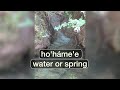 Water/Spring  - ho'háme'e