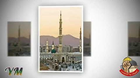 80  سورة   عبس  القارئ سعد الغامدي