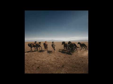 Guarda Dan Shake - Verde su YouTube Guarda Dan Shake - Verde su YouTube