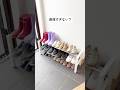 ダイソーのこれ知ってる??コスパ良すぎない?