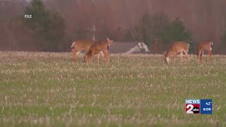 2024-2025 gun hunting season for deer opens Saturday in Tennessee