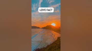 Extroverts make great lovers because... #shorts #subscribe #extrovert #lovefacts