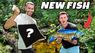 I Surprised Him with NEW FISH for 6,000G POND!!