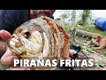 Pesca y Cocina PIRAÑAS Y MOJARRAS FRITAS en LA ISLA, pesca urbana.