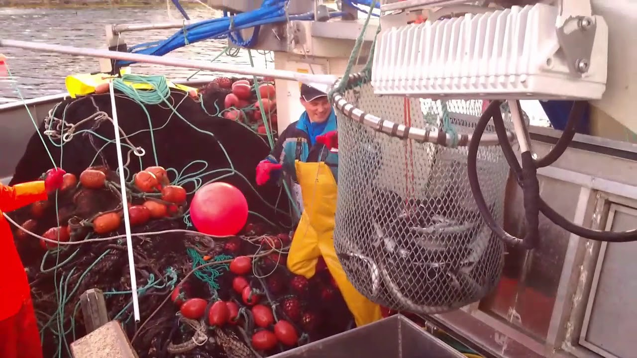 Seinot Valajenta Del 2 06.09.2016