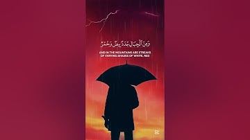 تلاوة مباركة بصوت #ياسر_الدوسري #اكسبلور #المصحف #راحة_نفسية