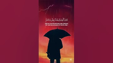 تلاوة مباركة بصوت #ياسر_الدوسري #اكسبلور #المصحف #راحة_نفسية