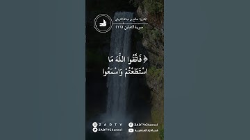 ما تيسر من سورة التغابن ( ١٦ ) - تلاوة خاشعة