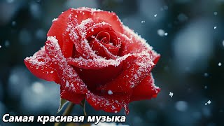 картинка: Осень снова здесь 🌿Я могу слушать эту музыку вечно 3 часа🌿Волшебная музыка Сергея Грищука