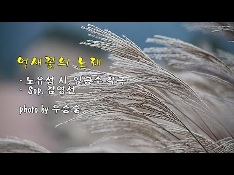 억새꽃의 노래 / 노유섭 시, 임긍수 작곡 / Sop.  김영선 &amp;amp; photo by 우승술
