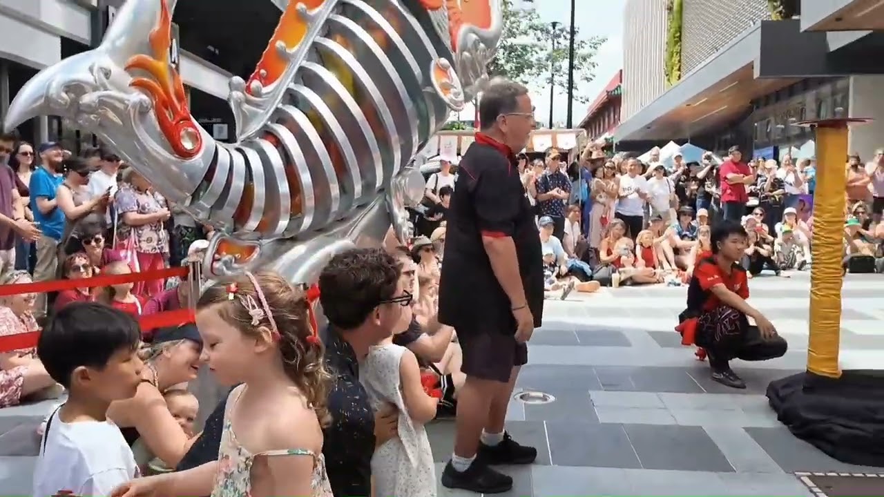 Chinese New Year 2026 Lion Dance on Poles Up Close Brisbane Chinatown Australia #CNY #liondance