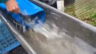 IMG 0201 3