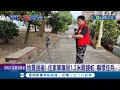 地震過後！ 花蓮民宅車庫驚見眼鏡蛇 住戶驚嚇 住家車庫現1.2米眼鏡蛇嚇壞住戶 眼鏡蛇出沒住宅區 捕蛇員：首見｜記者 陳俞安 黃啟超 呂彥｜【LIVE大現場】20240416｜三立新聞台