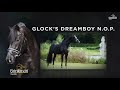 Glocks dream boy vivaldi x ferro