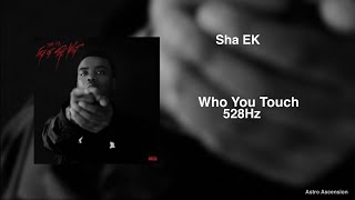 Sha EK - Who You Touch ft. Bandmanrill [528Hz Heal DNA, Clarity \& Peace of Mind]