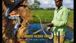 The Dangers In Life Of Snake Catchers | Catching Most Venomous Snakes Of India. by Circus Thuppaki 1,245 views 1 month ago 20 minutes