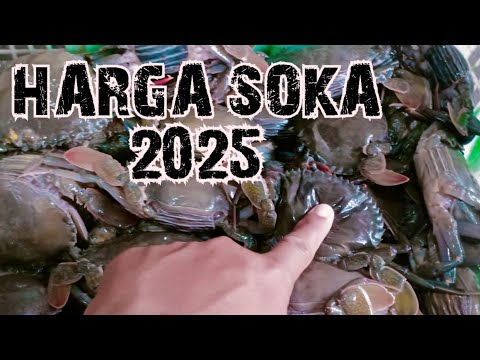 Harga Kepiting Mentega