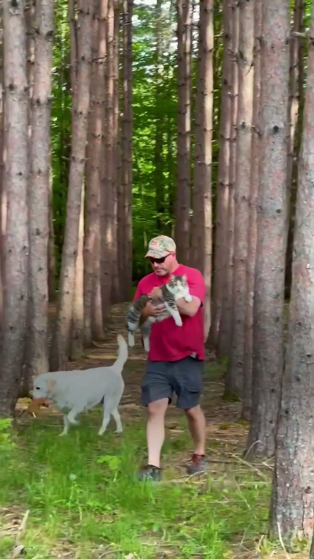 Guy Who Never Wanted A Cat Gives His Cat Piggy Back Rides Now | The Dodo