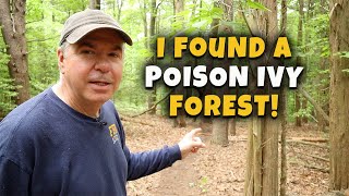 Just a another walk in the forest. Or is it? Killing Poison Ivy! MCG Video #209