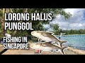 Surfcasting at Lorong Halus/Punggol End | Fishing in Singapore