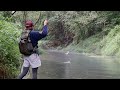 IOWA DRIFTLESS REGION: CATCHING A PIECE OF TROUT HISTORY! (Fly Fishing French Creek, Allamakee, IA)
