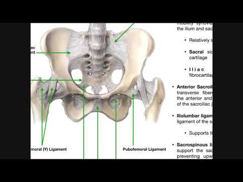 Video: Anatomia, Funcția și Diagrama Ligamentului Sacroiliac - Hărți De Corp