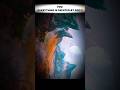 Who created God? #shorts #space #god #youtubeshorts
