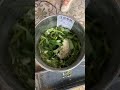 Powerful Vegetable Cutting Machine for Poultry Farming | Save Time & Increase