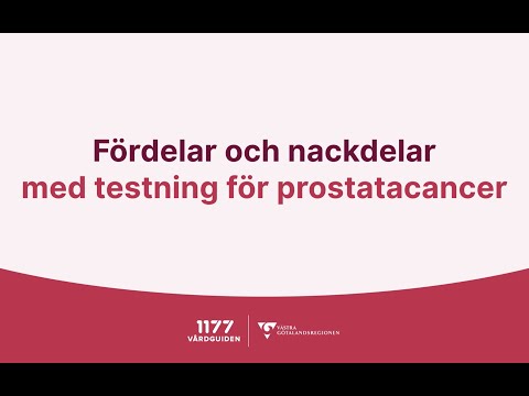 Video: Fördelar och nackdelar med Pet Probiotics