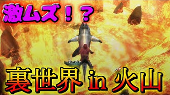 モンスターハンター3g Youtube