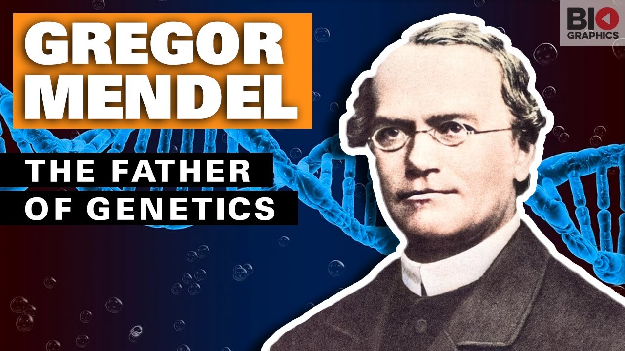 gregor-mendel-the-father-of-genetics-youtube