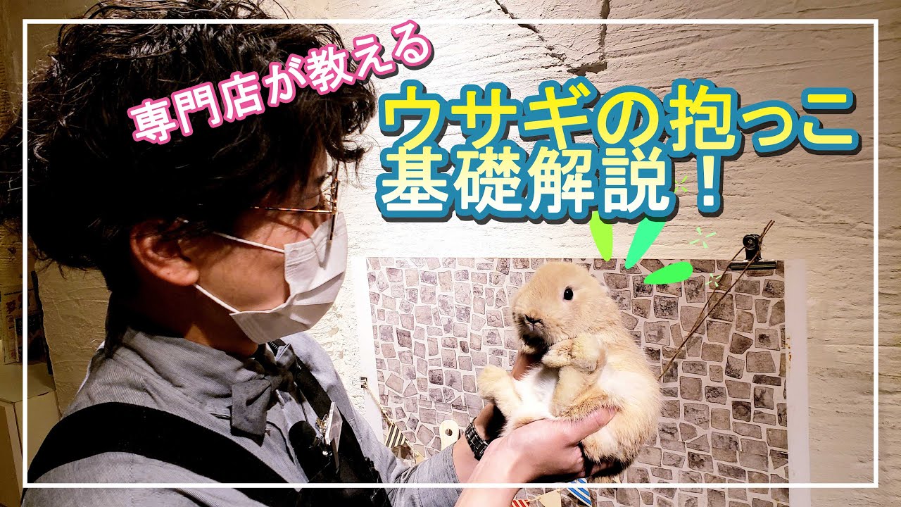 ウサギの抱っこの基礎解説【うさぎ専門店monLapin】