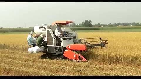 CANH TÁC LÚA THÍCH ỨNG BIẾN ĐỔI KHÍ HẬU