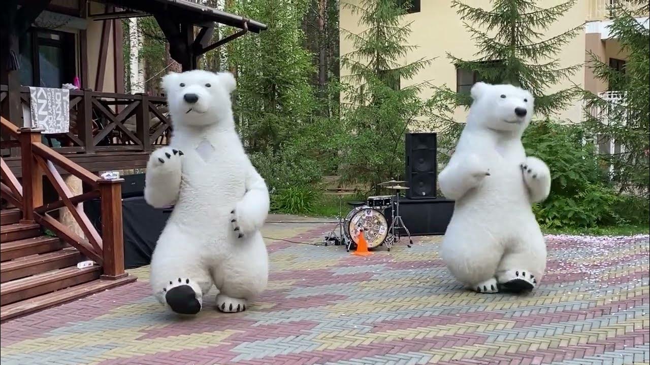Фирменный танец. Фрагмент. Шоу танцующих медведей. Белые медведи. Панды ...