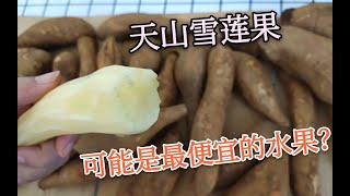 网购开箱试吃天山雪莲果，只要不到2元一斤，味道真的好吃吗