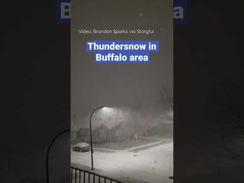 Video: Vejret og klimaet i Buffalo