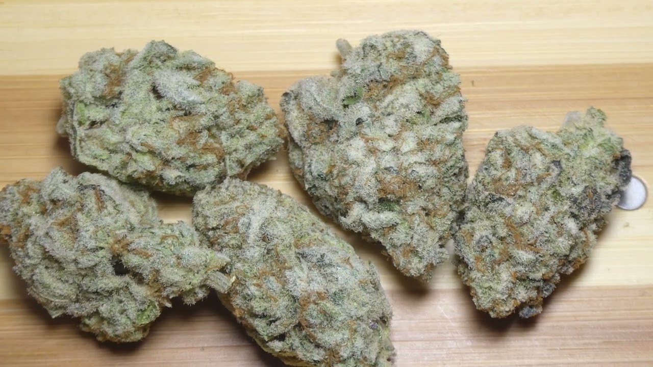 Mandarin Sunset fr Bud Empire