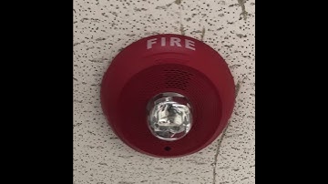 Thumbnail of Fire Alarm