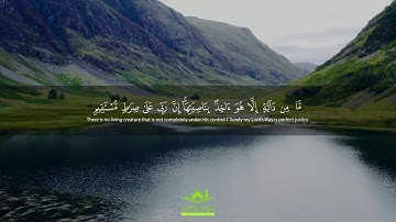 تلاوة رائعة: " إِنِّي تَوَكَّلْتُ عَلَى اللَّهِ رَبِّي وَرَبِّكُمْ ۚ " | سورة هود | قرآن