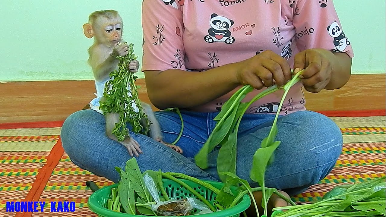 Cute Baby Nina Eating And Helping Mom Prepare Vegetables