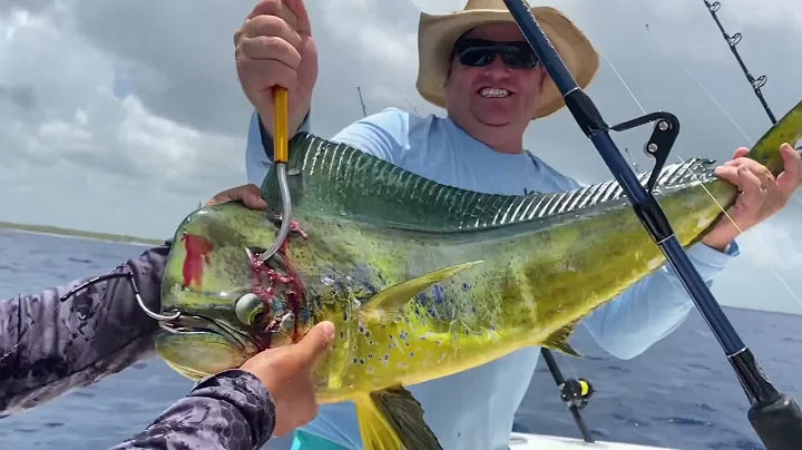 Dolphin Fishing Playa del Carmen Tolbert Group Jun...