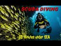 SCUBA DIVING | 30 minutes Under SEA 🌊  | Real Experience | Beautiful World