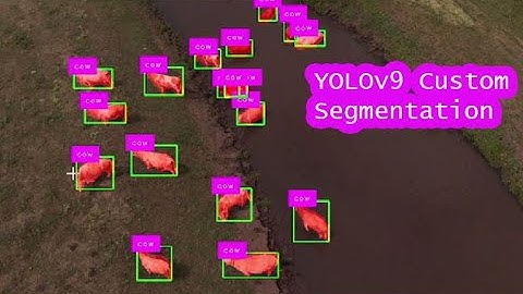YOLOv9 Custom Instance Segmentation | YOLOv9 Instance Segmentation  | YOLOv9 | computer vision