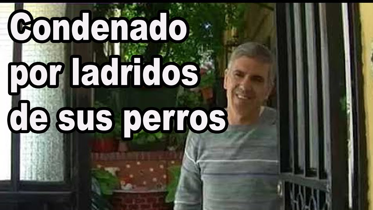 Lo Condenan A Prisión Por Ladridos De Sus Perros naturaleza definicion