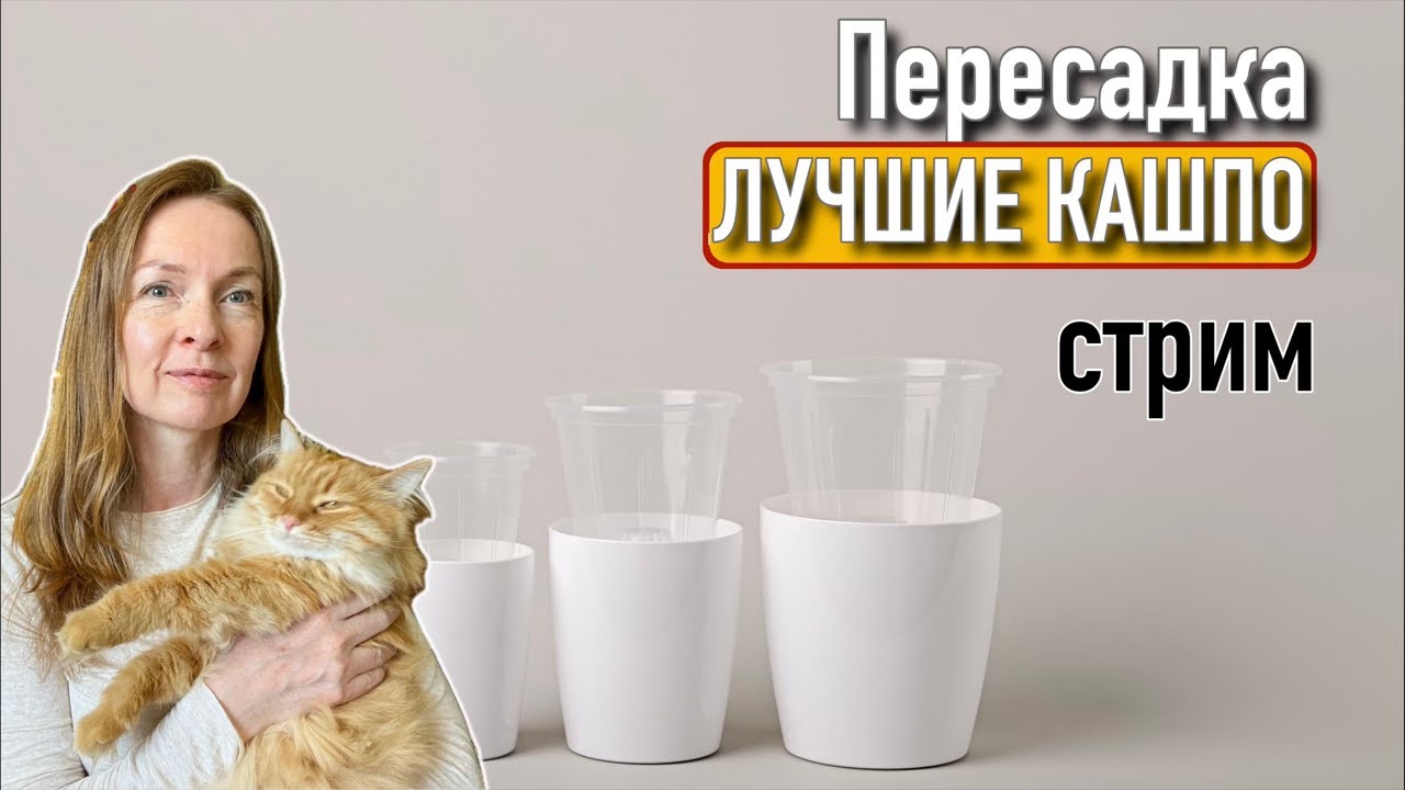 Жду всех на пересадку! Не только орхидеи!