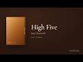 High Five — Janet Evanovich (Book Summary)