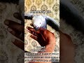 🔗 link in bio #africangreyparrots #africangreycongo #birds #telugu
